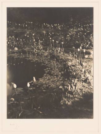 Rudolph Wurlitzer Garden No. 6
