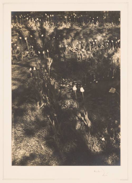 Rudolph Wurlitzer Garden No. 7
