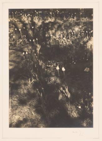 Rudolph Wurlitzer Garden No. 7
