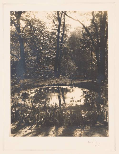 Rudolph Wurlitzer Garden No. 9