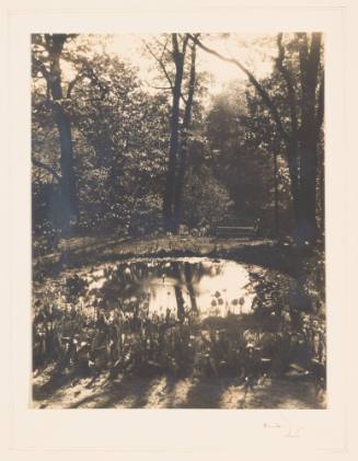 Rudolph Wurlitzer Garden No. 9