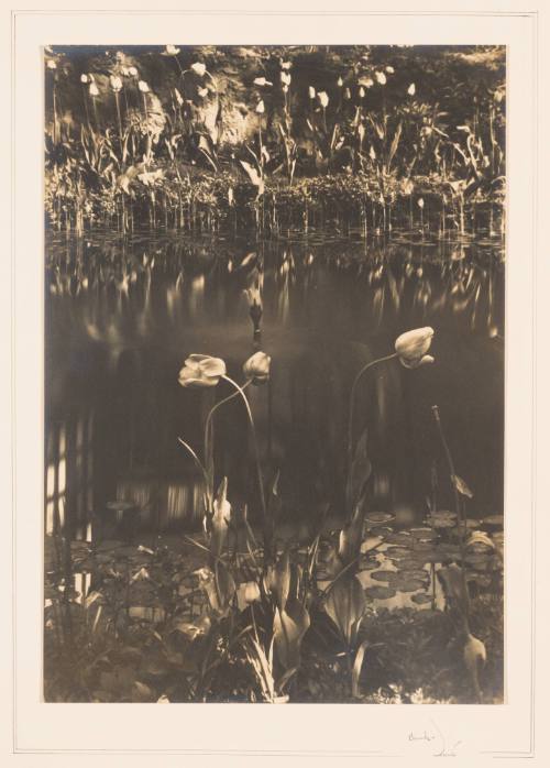 Rudolph Wurlitzer Garden No. 10