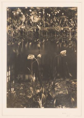 Rudolph Wurlitzer Garden No. 10