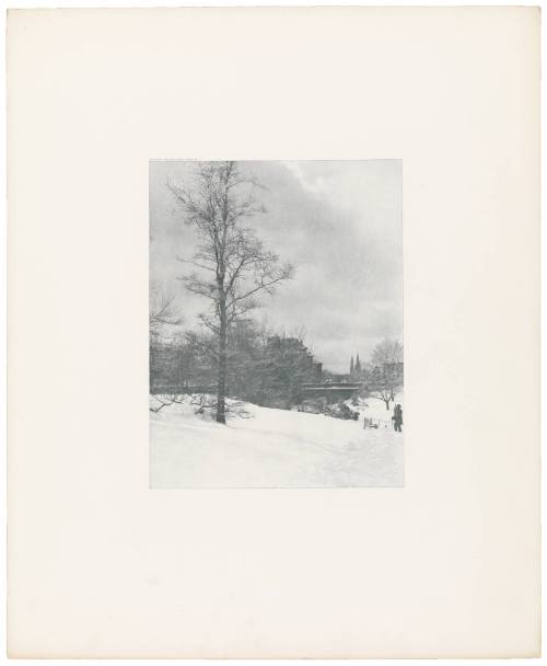 A Winter Sky — Central Park from the portfolio Picturesque Bits of New York and Other Studies