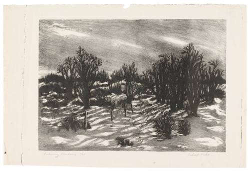Evening Shadows