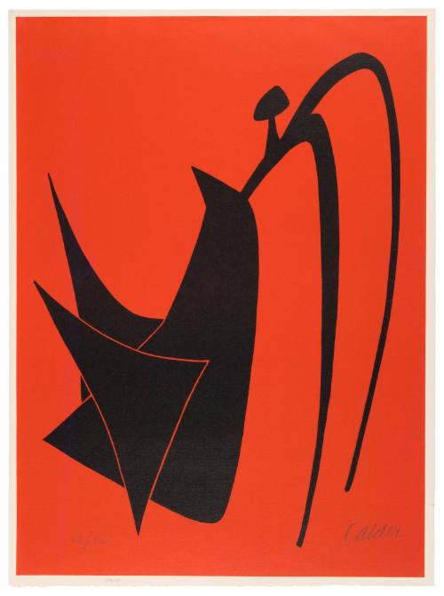 Red and Black Bullfighter