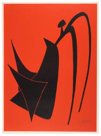 Red and Black Bullfighter