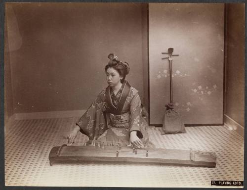 Playing Koto