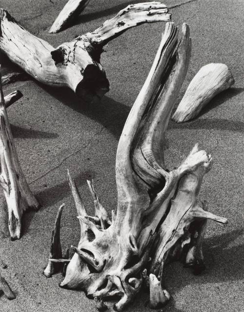 Brett Weston