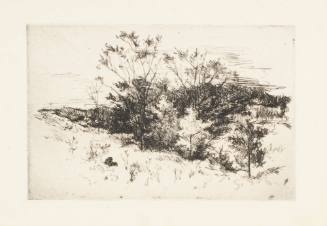 Autumn Landscape