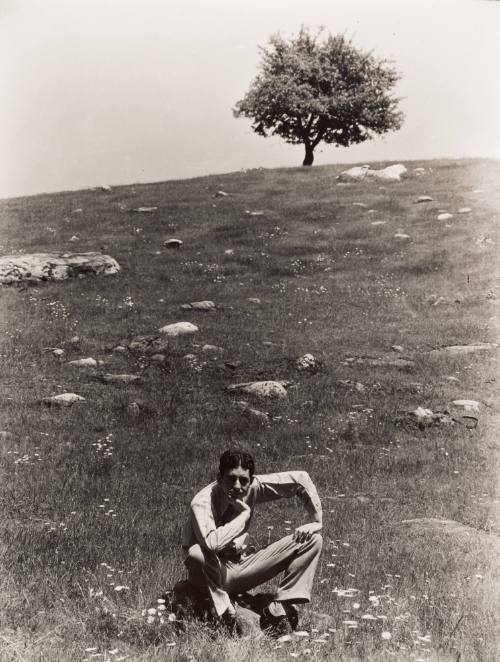 Self Portrait Looking Foolish