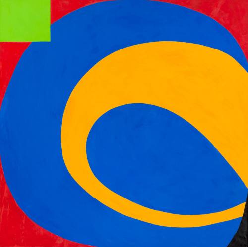 Elizabeth Murray