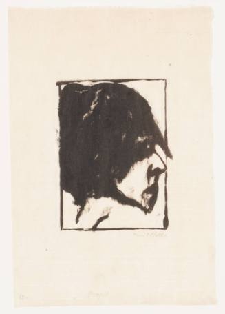 Profile II (Profil II)