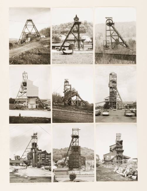 American Pitheads