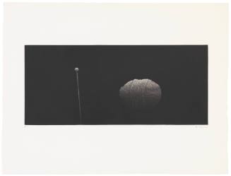 Still Life-Yard and Needle (Stick)