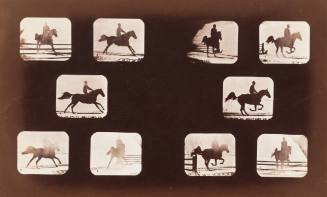 Horse Jumping Over Fence