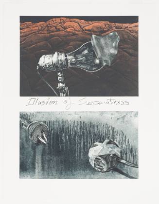 Illusions of Separateness