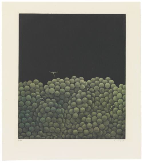 Grapes on Black Ground