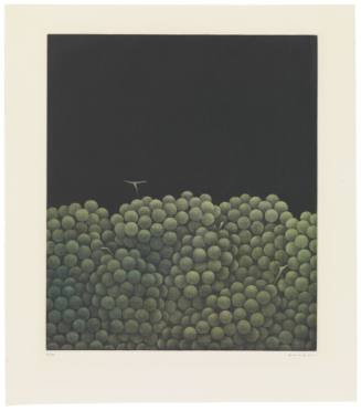 Grapes on Black Ground