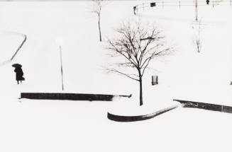 Woman with Umbrella, Washington Square Park