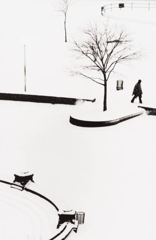 Man with Blanket, Washington Square Park
