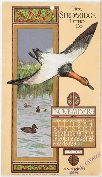 Calendar Card / November 1905