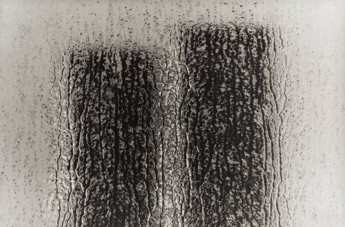 Trade Center Towers VII