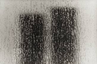 Trade Center Towers VII