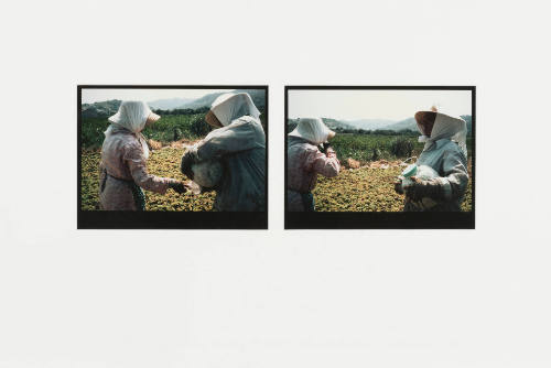 Two Grapepickers Pausing for Water, Samos, Greece