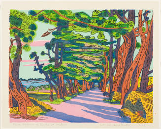 Pine Avenue of Tsuda at Matsue