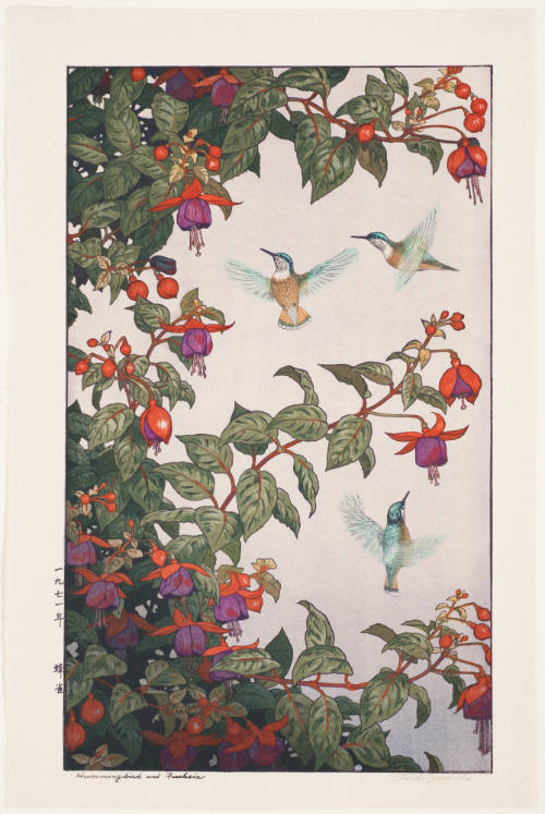 Hummingbird and Fuchsia