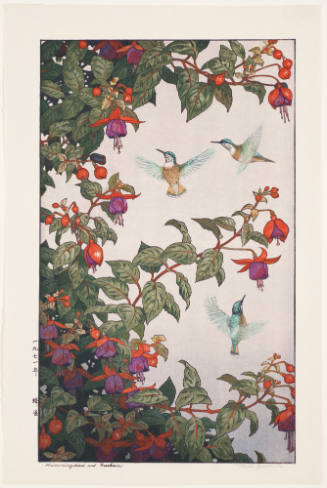 Hummingbird and Fuchsia