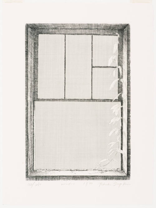 Window