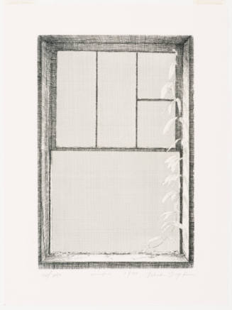 Window