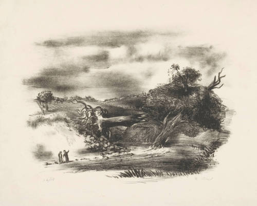 Uprooted Tree