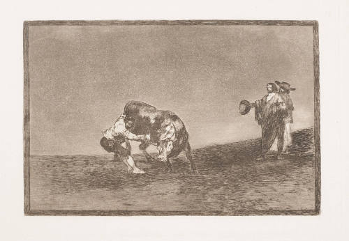 The Same Man Throws a Bull in the Madrid Ring