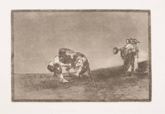 The Same Man Throws a Bull in the Madrid Ring