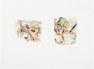 Mohonk, Two Root Studies