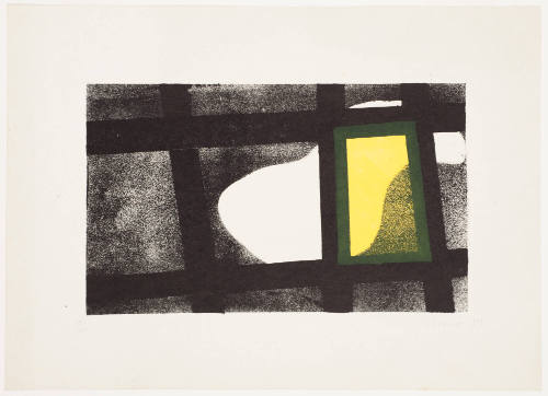 White Shape (Nature)