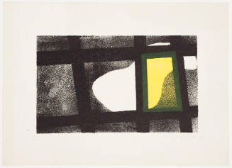 White Shape (Nature)