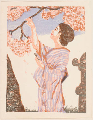 Cherry-Blossom Time (Tokyo)