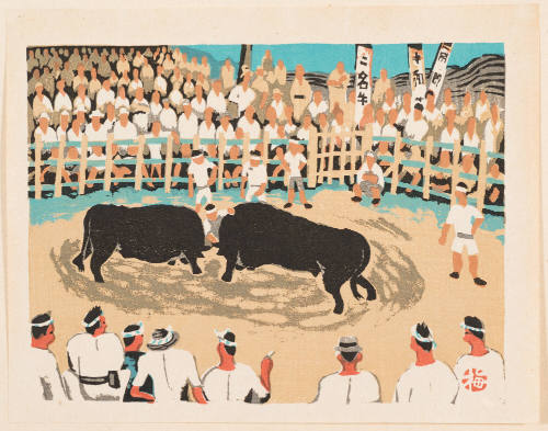 Fighting Bulls in Iyo