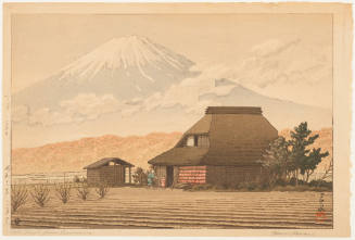 Mt. Fuji from Narusawa