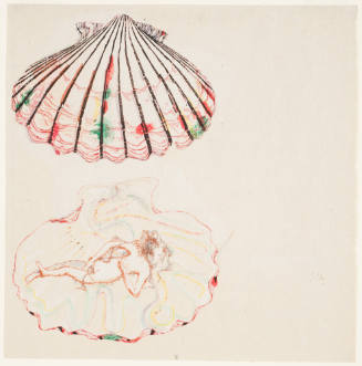 Shell