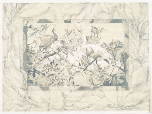 Magnolia Jungle: The Visitors