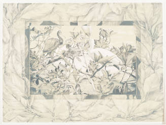 Magnolia Jungle: The Visitors