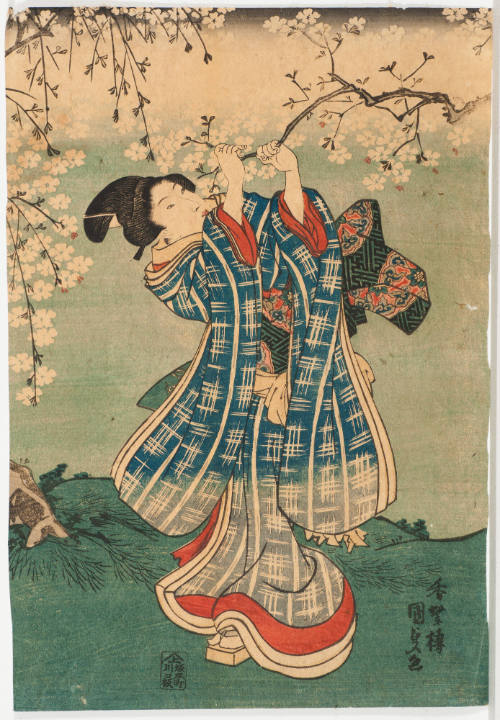 Woman Breaking Cherry Branch