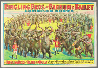 Ringling Bros and Barnum & Bailey Combined Shows: The Ringling Bros and Barnum & Bailey Quarter Million Pound Act of Performing Elephants