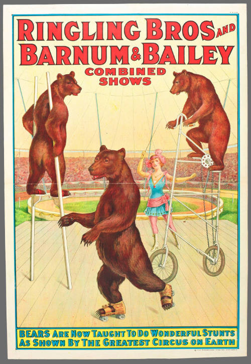 Ringling Bros and Barnum & Bailey Combined Shows: Bears Are Now Taught to Do Wonderful Stunts as Shown by the Greatest Circus on Earth