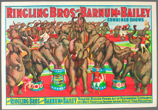 Ringling Bros and Barnum & Bailey Combined Shows: The Ringling Bros and Barnum & Bailey Quarter-Million Pound Act of Performing Elephants